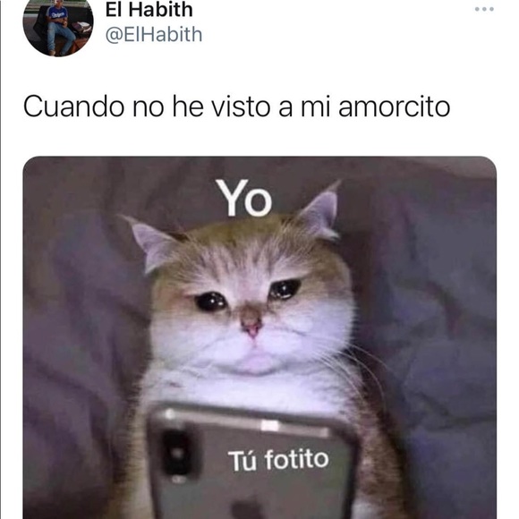 Meet your Posher, Felix - Picture 1 of 1